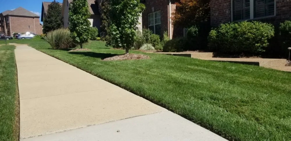 Custom lawn mowing service experts serving White Bluff, TN - ARK Landscaping and Lawncare