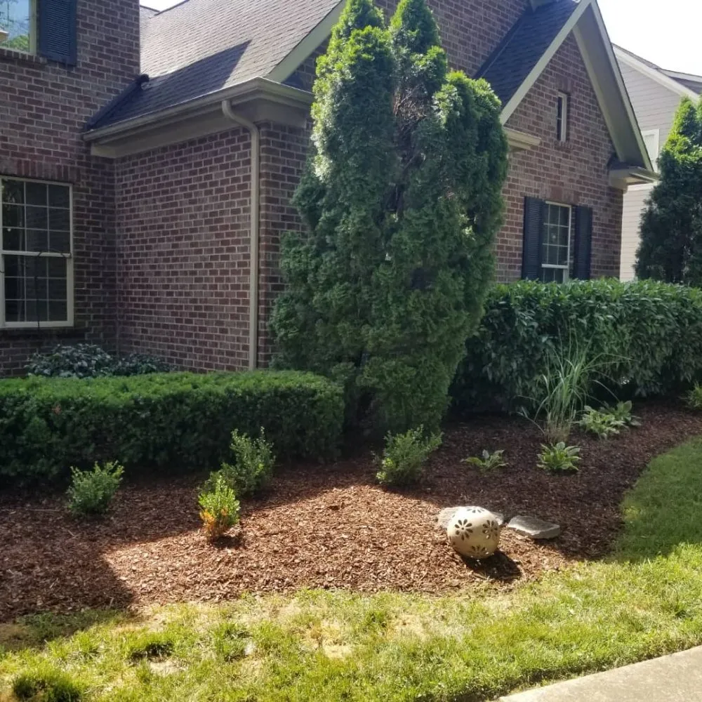 Professional lawn care service near you across White Bluff, TN - ARK Landscaping and Lawncare