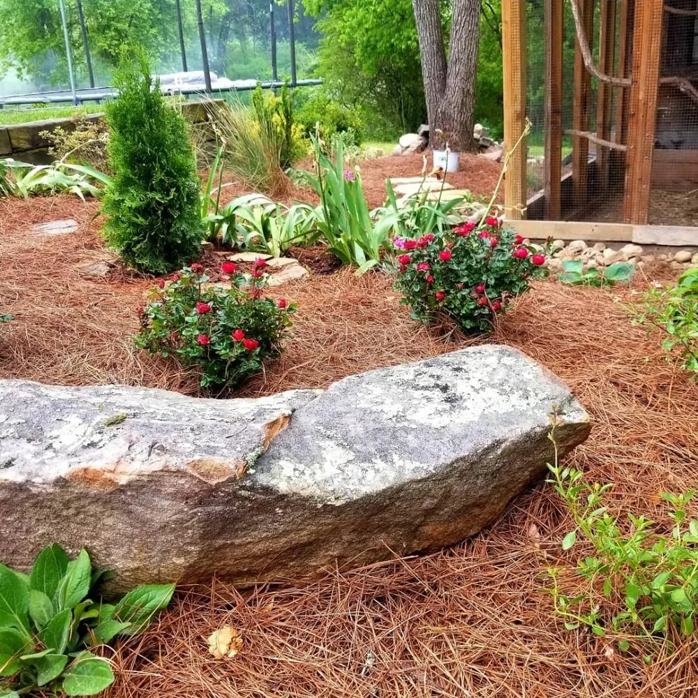 Local residential landscaping for outdoor upgrades in White Bluff, TN by ARK Landscaping and Lawncare
