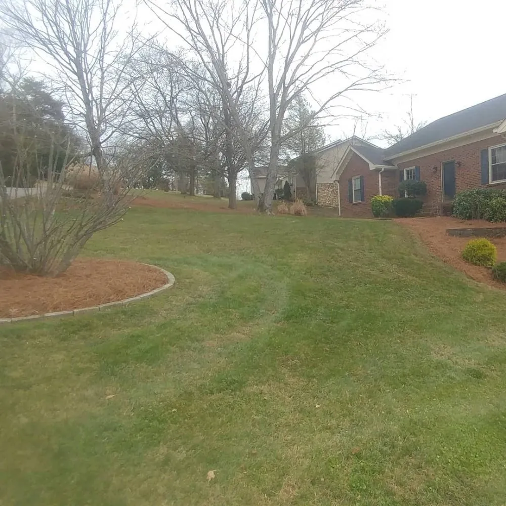 Custom yard maintenance experts serving White Bluff, TN - ARK Landscaping and Lawncare