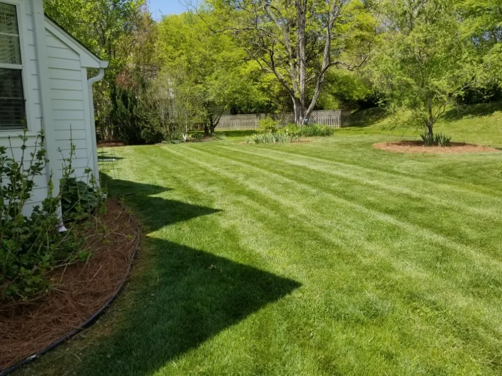 Reliable landscaping services in White Bluff, TN - ARK Landscaping and Lawncare