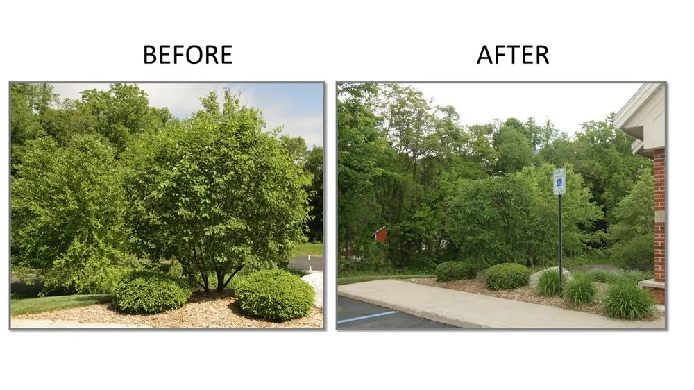 Professional yard cleanup service in Kalamazoo, MI by ARK Landscaping