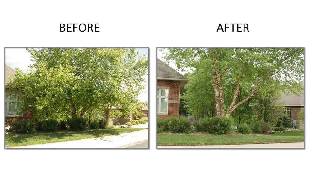 Custom residential landscaping in Kalamazoo, MI - ARK Landscaping