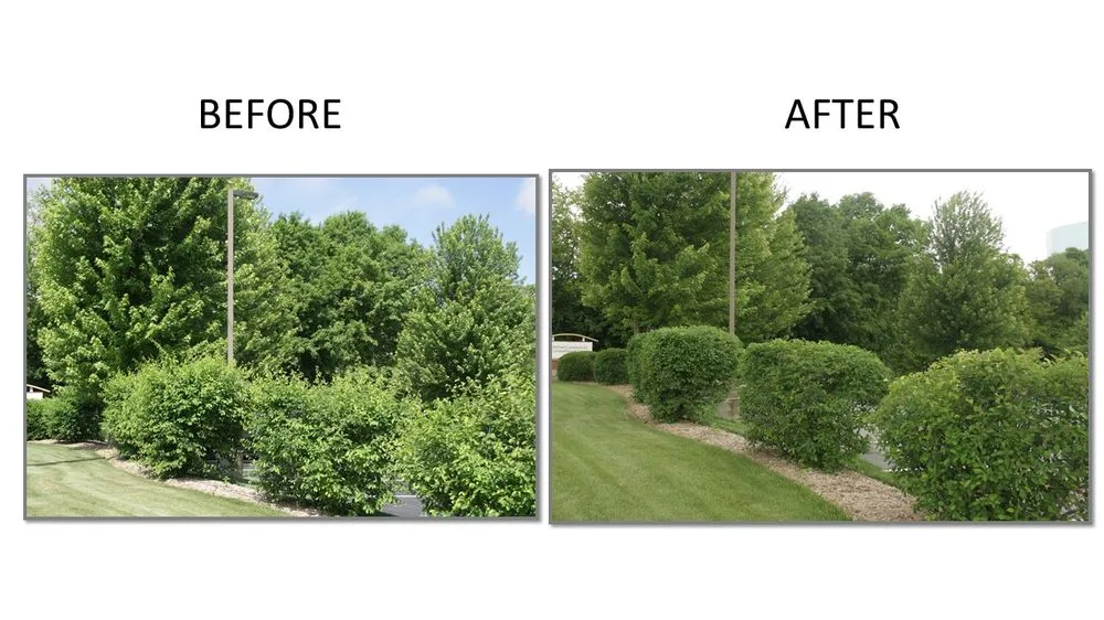 Local lawn care service in Kalamazoo, MI - ARK Landscaping