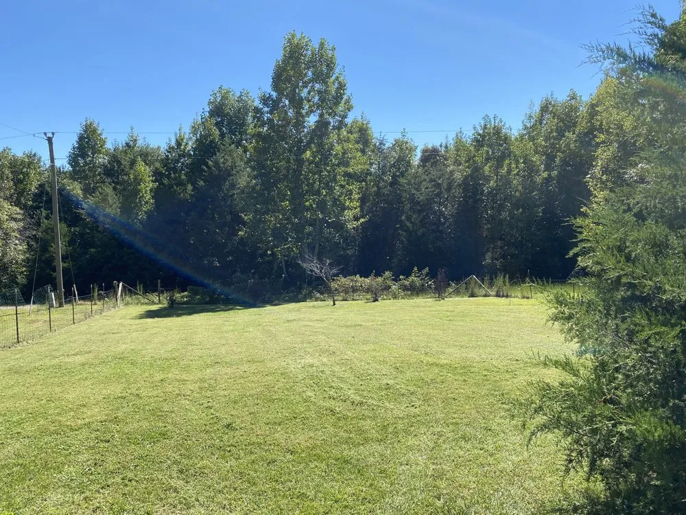 Professional yard cleanup service for residential properties in Pamplin, VA by Ark Lawn Care