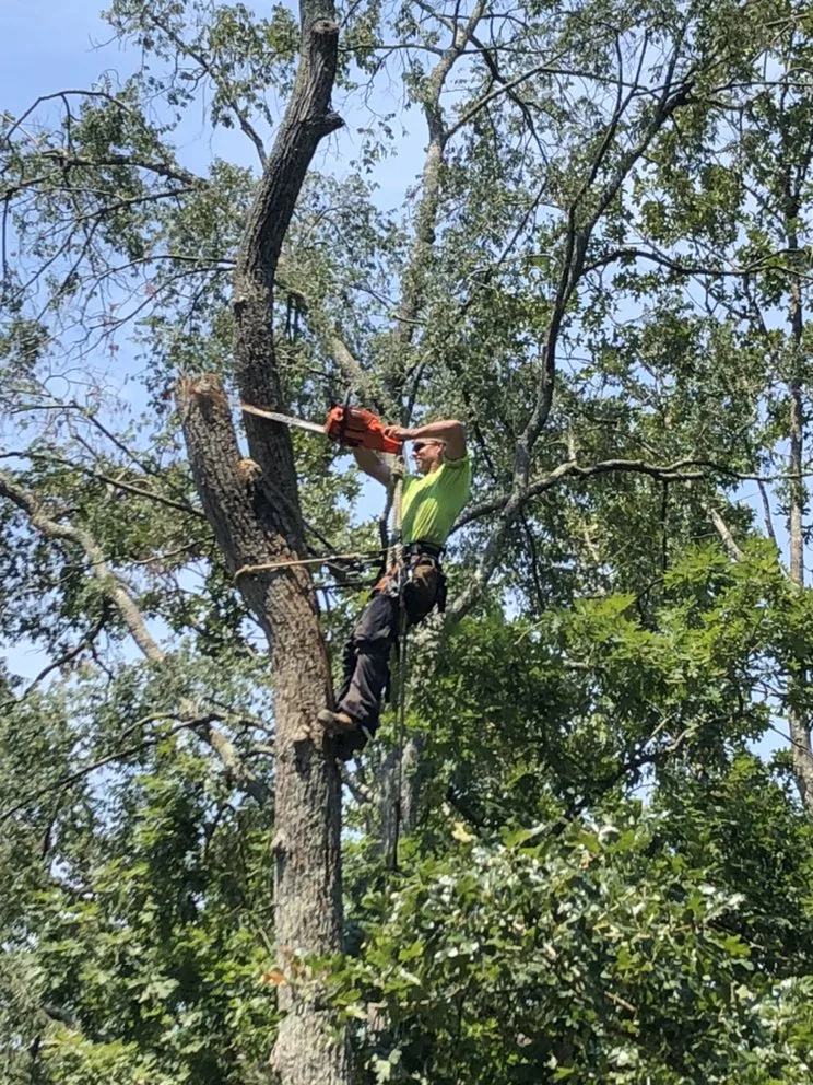 Local residential landscaping for year-round maintenance across Tega Cay, SC - ARK Services