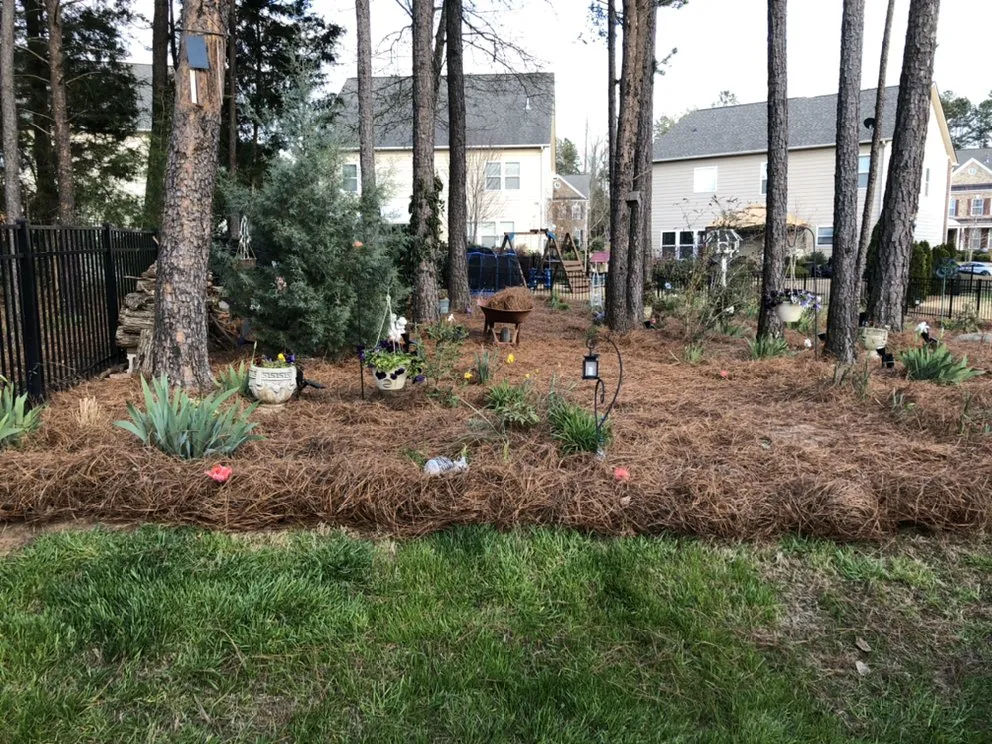 Trusted lawn mowing service in Tega Cay, SC - ARK Services