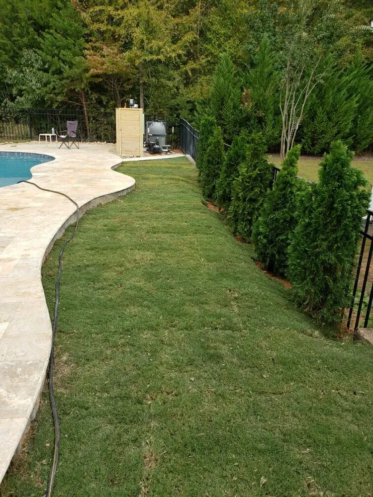 Reliable yard cleanup service in Tega Cay, SC - ARK Services