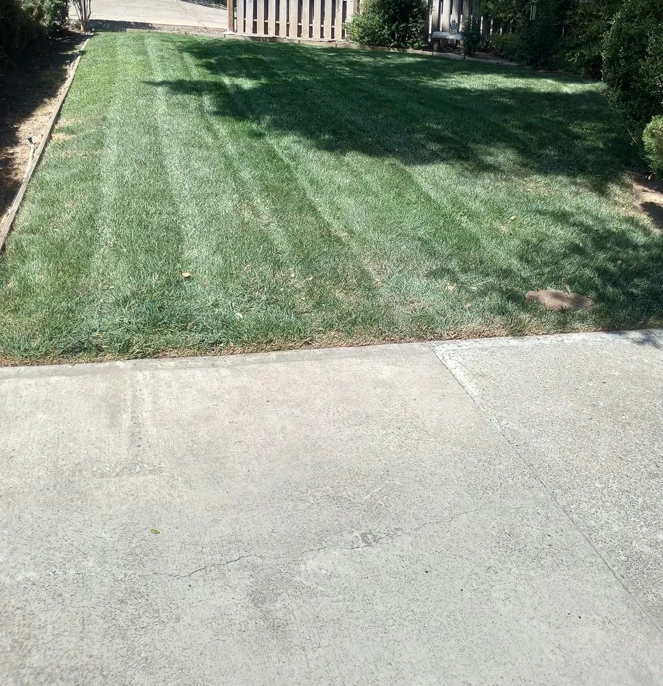 Local yard maintenance experts serving Clearlake, CA - ARK Yard Maintenance