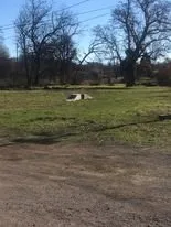 Affordable yard cleanup service in Clearlake, CA by ARK Yard Maintenance