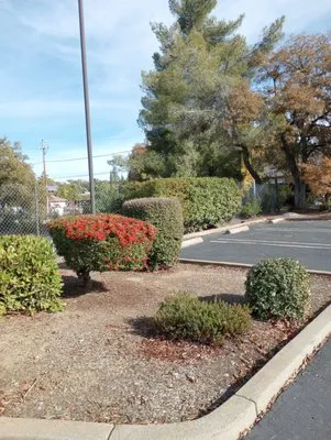 ARK Yard Maintenance