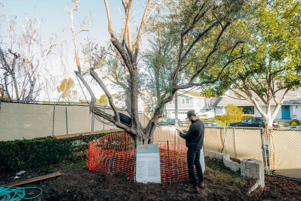 Trusted landscape installation in Costa Mesa, CA by Arkadia Tree Services