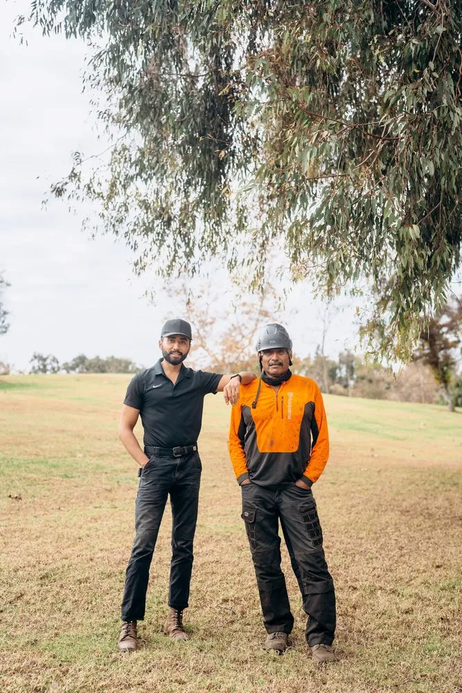 Professional residential landscaping experts serving Costa Mesa, CA - Arkadia Tree Services