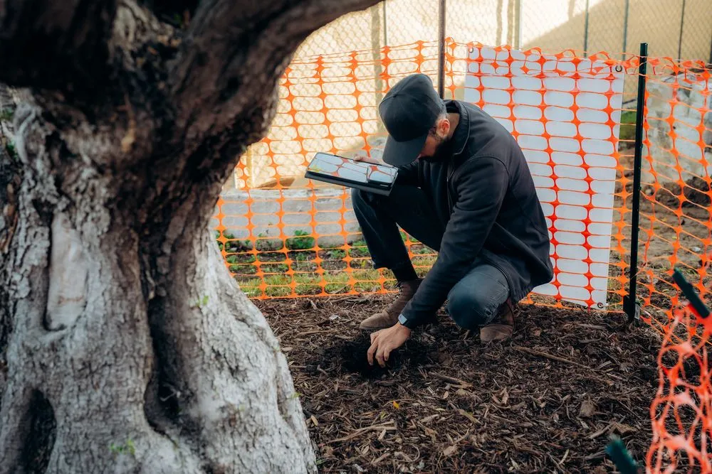 Expert residential landscaping for homes in Costa Mesa, CA by Arkadia Tree Services