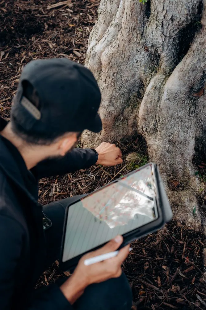 Reliable garden landscaping with custom design across Costa Mesa, CA - Arkadia Tree Services