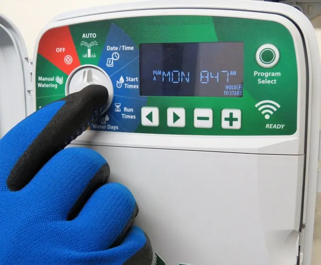 Expert yard maintenance in Costa Mesa, CA - Arkadia Tree Services