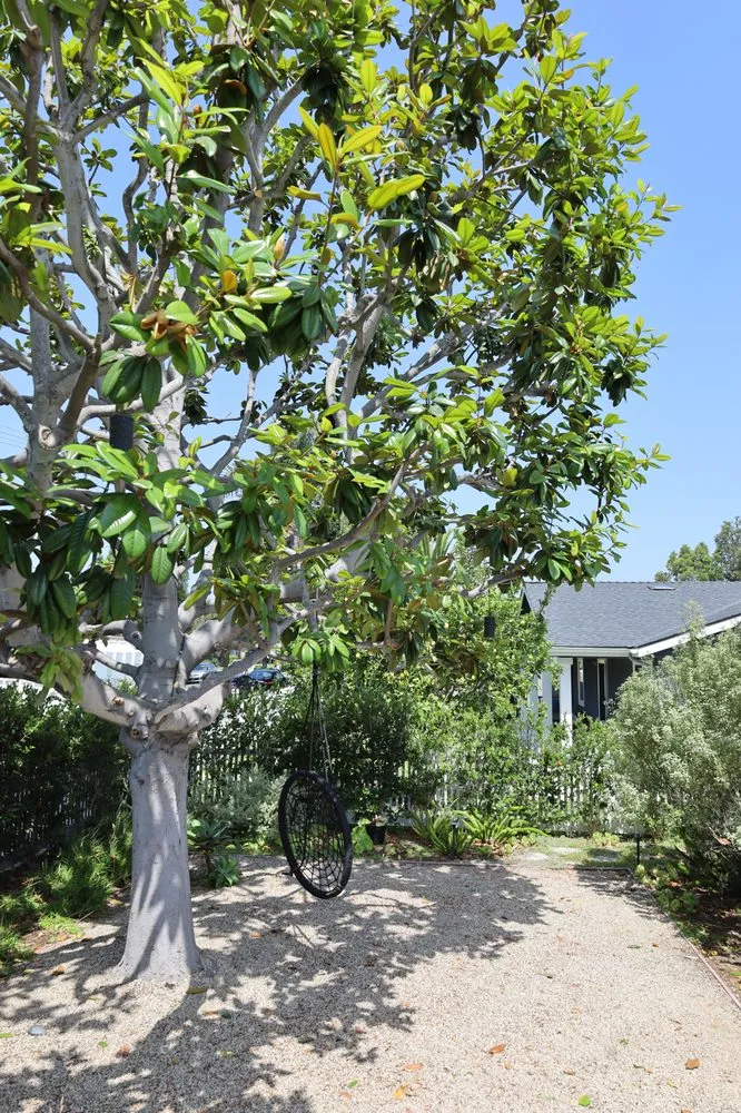 Trusted landscape installation experts serving Costa Mesa, CA - Arkadia Tree Services