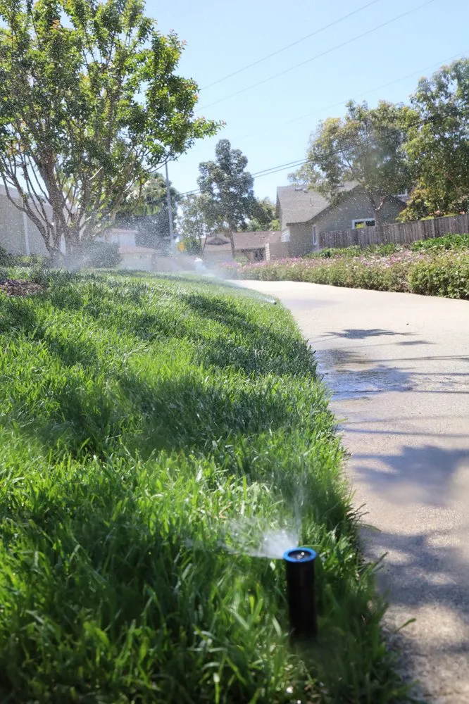 Reliable garden landscaping experts serving Costa Mesa, CA - Arkadia Tree Services