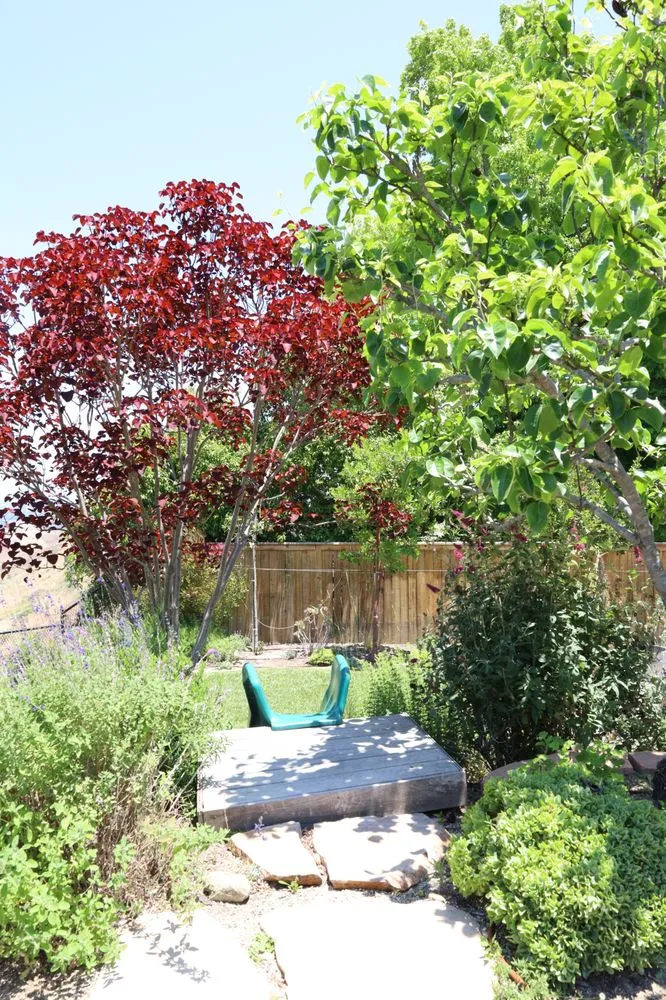 Reliable yard maintenance for homes across Costa Mesa, CA - Arkadia Tree Services
