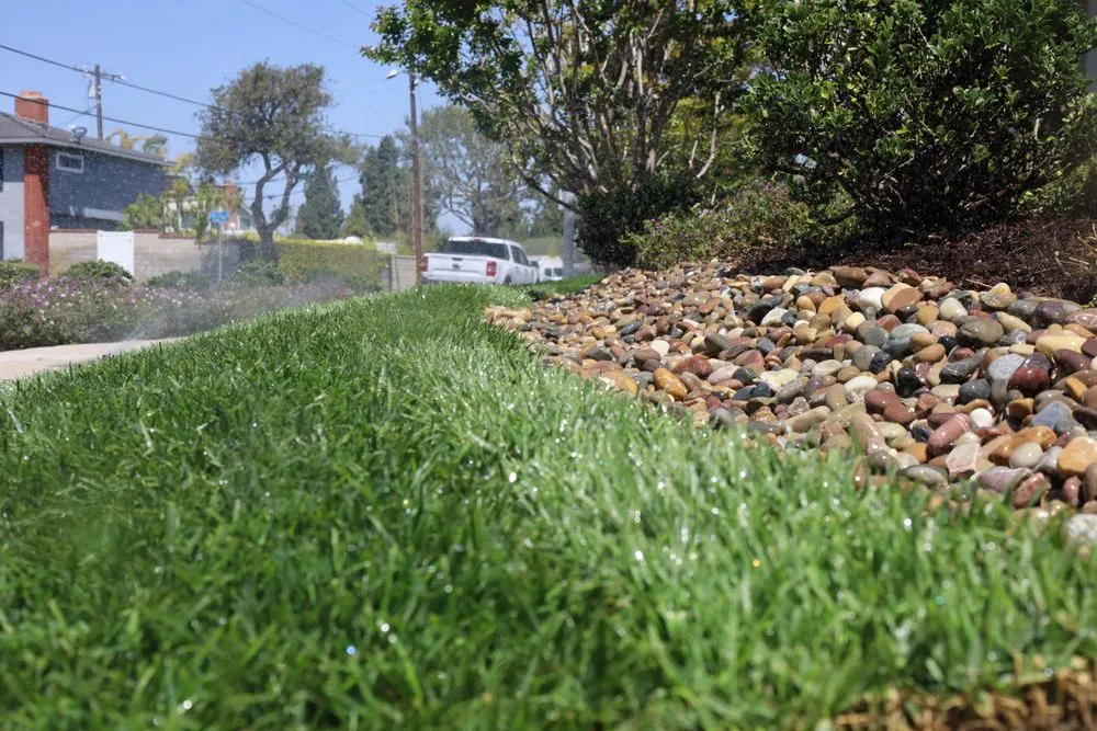 Expert outdoor landscaping in Costa Mesa, CA - Arkadia Tree Services