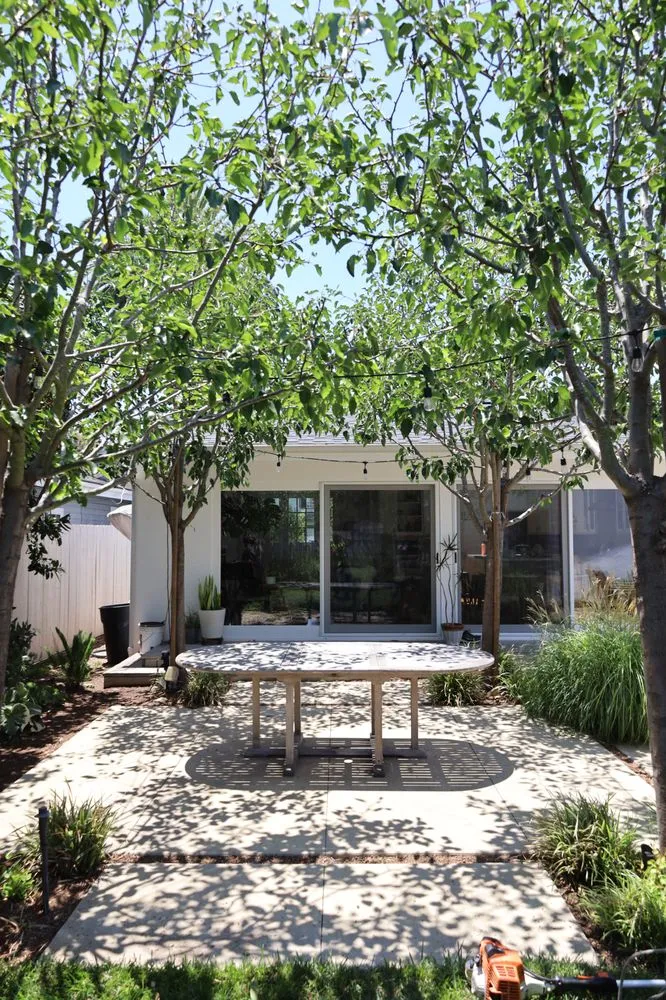 Affordable lawn care service for year-round maintenance in Costa Mesa, CA by Arkadia Tree Services