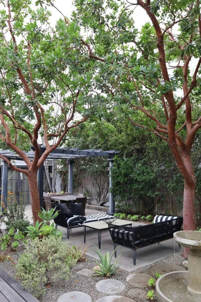 Local landscape design experts serving Costa Mesa, CA - Arkadia Tree Services
