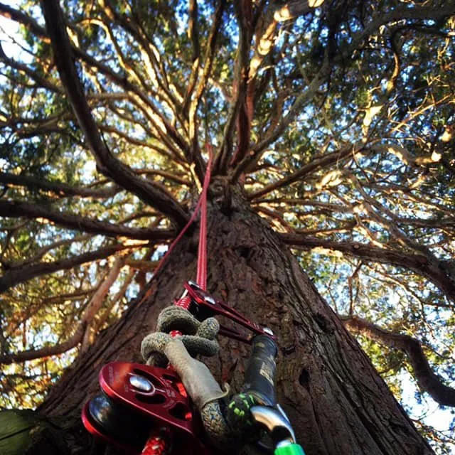 Professional garden landscaping with custom design in Bloomsburg, PA by Arkadien Tree Care