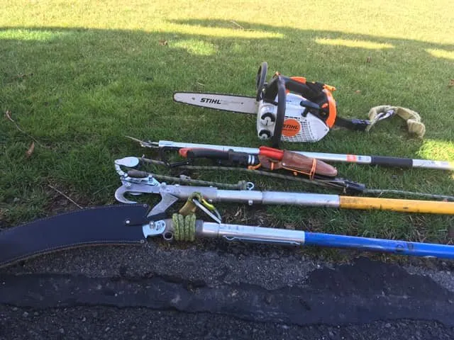 Local landscaping services in Bloomsburg, PA by Arkadien Tree Care