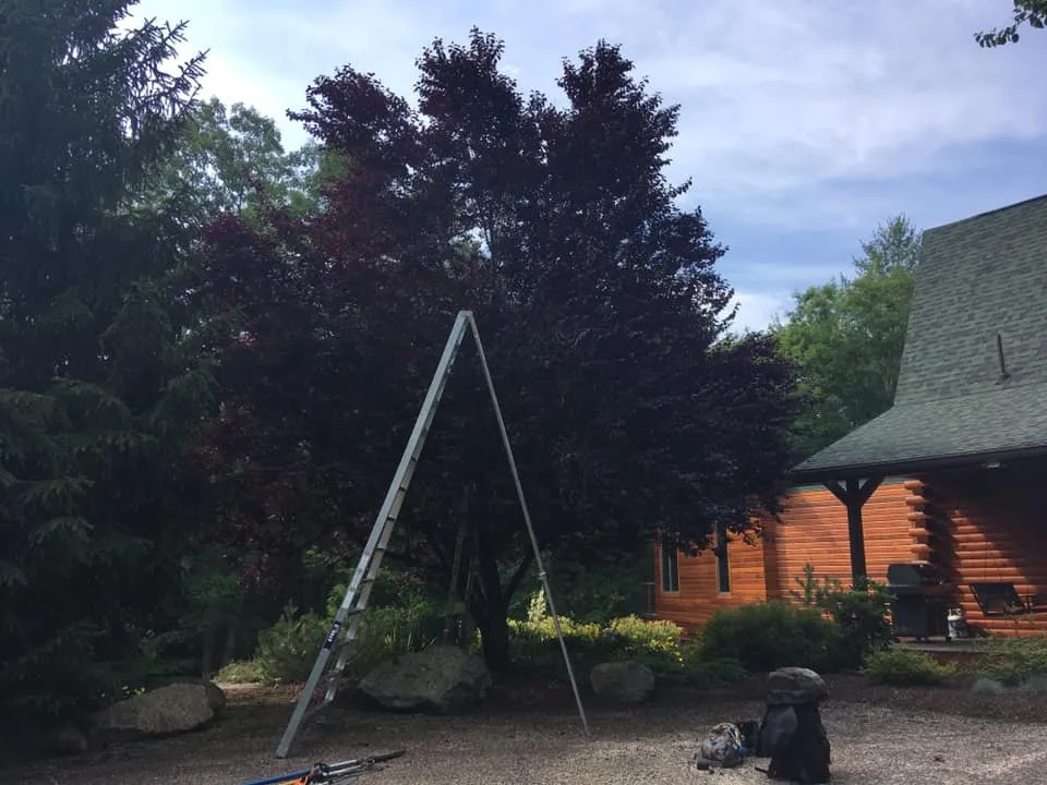 Expert garden landscaping for residential properties across Bloomsburg, PA - Arkadien Tree Care