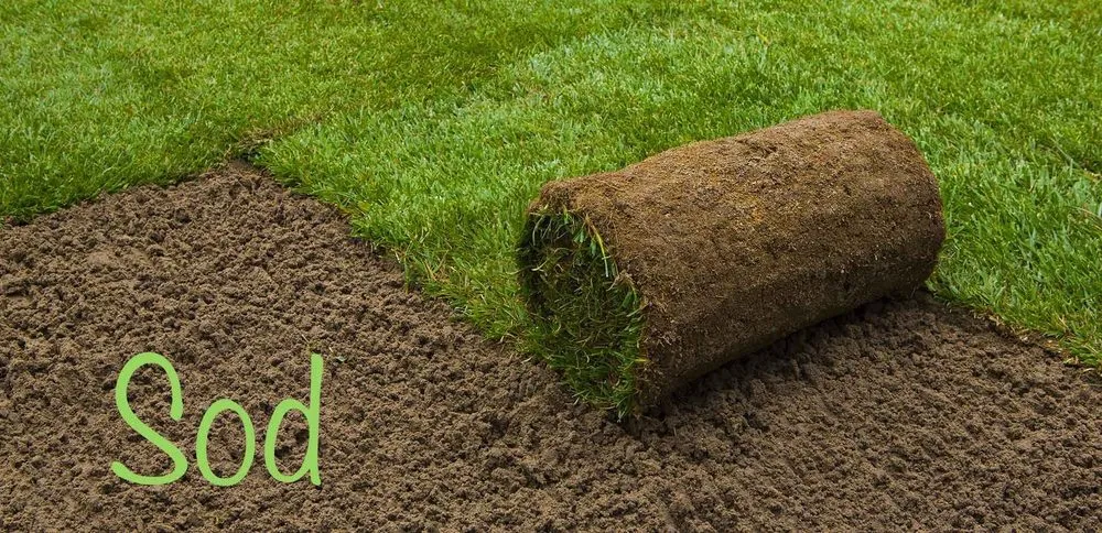 Affordable lawn care service for residential properties in Hot Springs Village, AR by Arkansas Hydro Touch