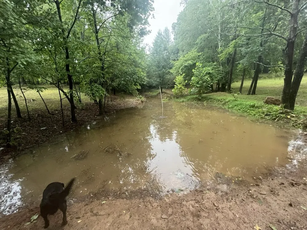 Trusted yard maintenance experts serving Huntington, AR - Arkansas Land Management