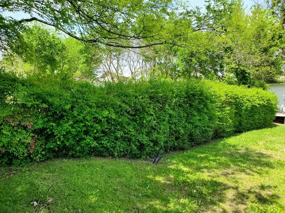 Professional landscape installation experts serving Hot Springs, AR - Arkansas Landscaping and Tree Service