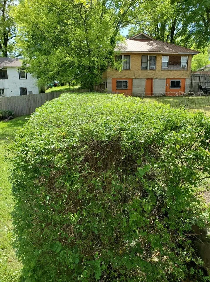 Expert landscaping services experts serving Hot Springs, AR - Arkansas Landscaping and Tree Service