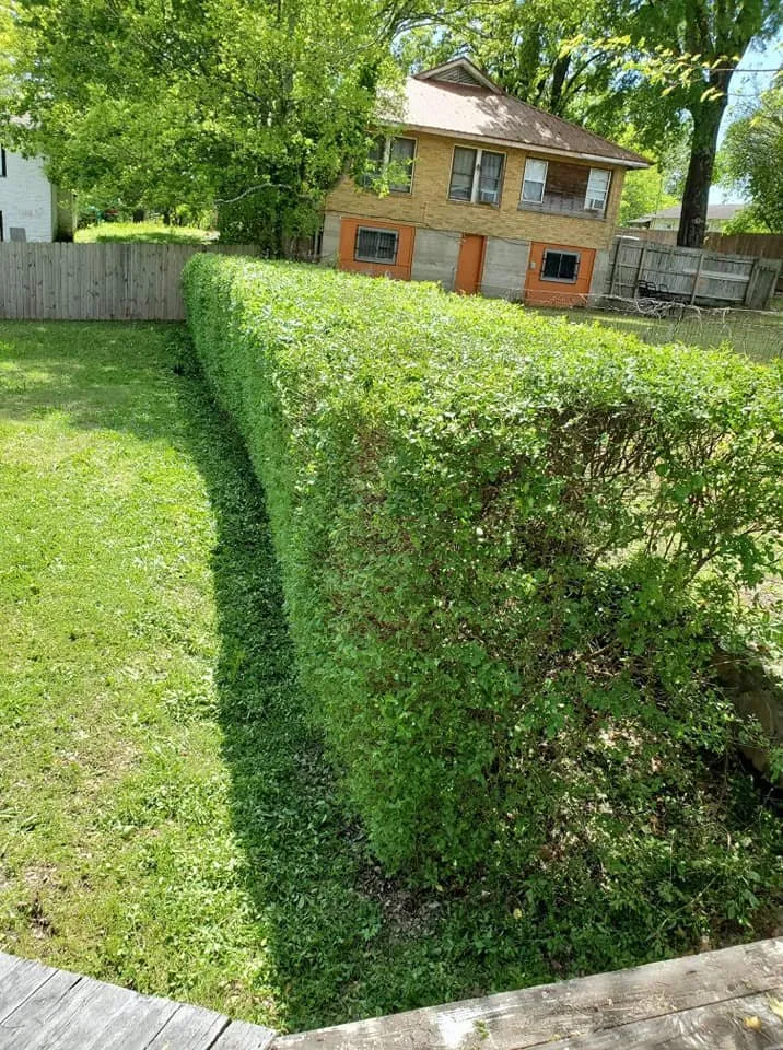 Professional garden landscaping experts serving Hot Springs, AR - Arkansas Landscaping and Tree Service