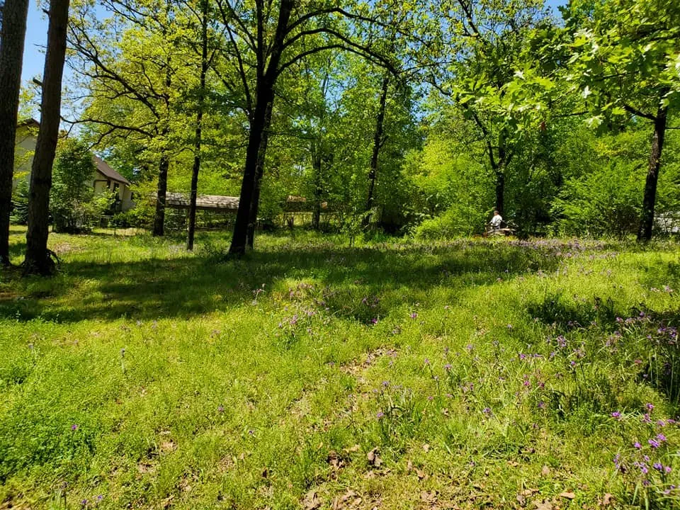 Expert lawn care service in Hot Springs, AR by Arkansas Landscaping and Tree Service