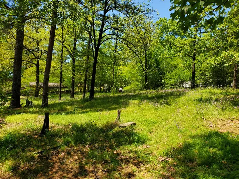 Reliable residential landscaping experts serving Hot Springs, AR - Arkansas Landscaping and Tree Service