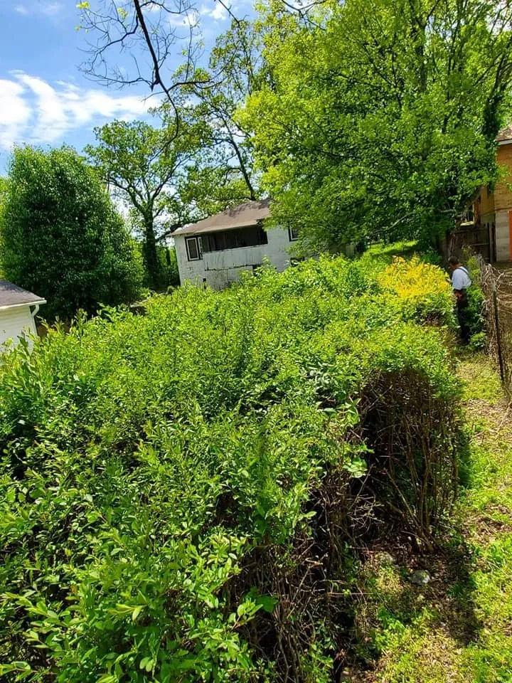 Professional yard maintenance in Hot Springs, AR - Arkansas Landscaping and Tree Service