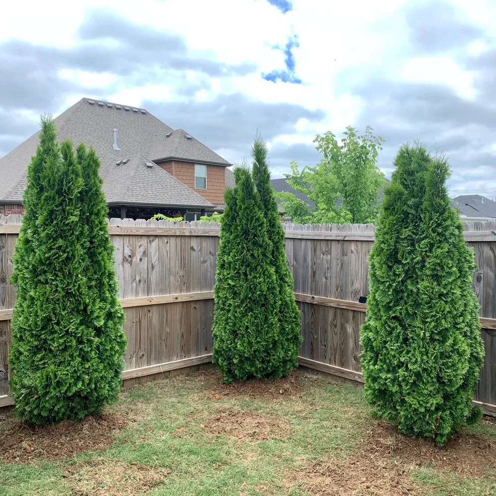 Local residential landscaping for year-round maintenance in Elkins, AR by Arkansas Outdoor Professionals