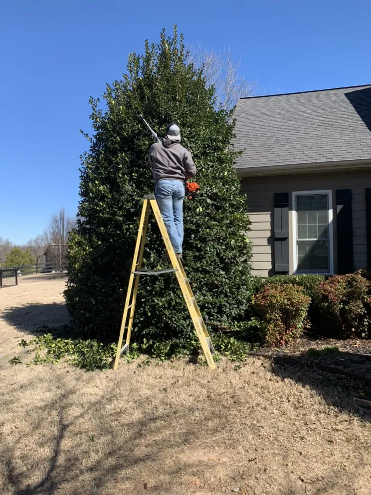 Professional yard maintenance in Elkins, AR by Arkansas Outdoor Professionals