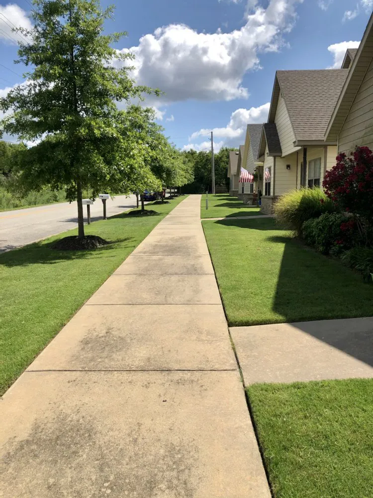 Professional outdoor landscaping for beautiful yards across Elkins, AR - Arkansas Outdoor Professionals