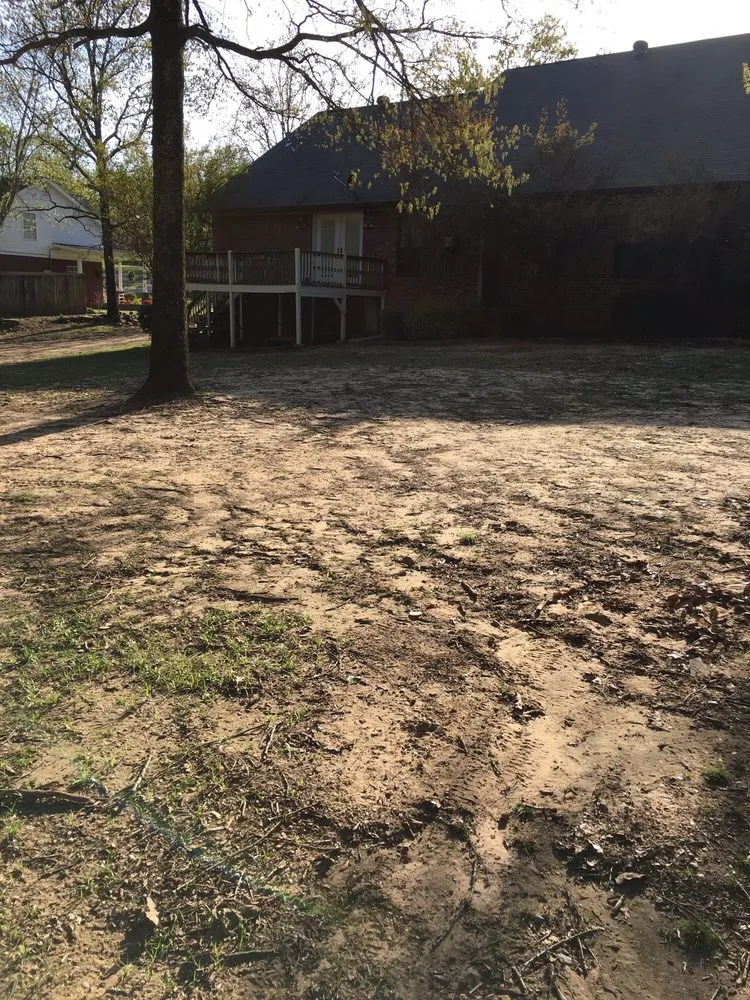 Professional yard maintenance in Cabot, AR - Arkansas Premium Lawn Care