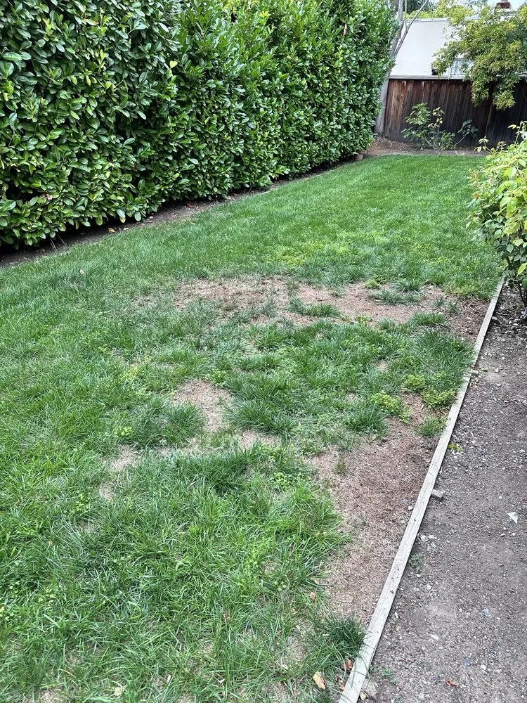 Professional outdoor landscaping experts serving San Jose, CA - Ark's Rotarea Aeration Service