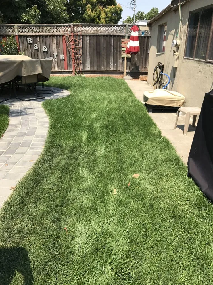 Reliable yard maintenance for beautiful yards in San Jose, CA by Ark's Rotarea Aeration Service