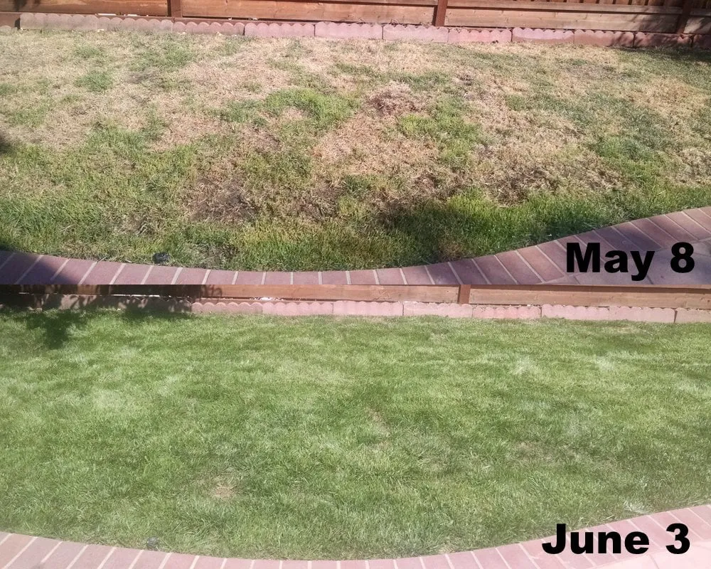 Local lawn care service in San Jose, CA - Ark's Rotarea Aeration Service