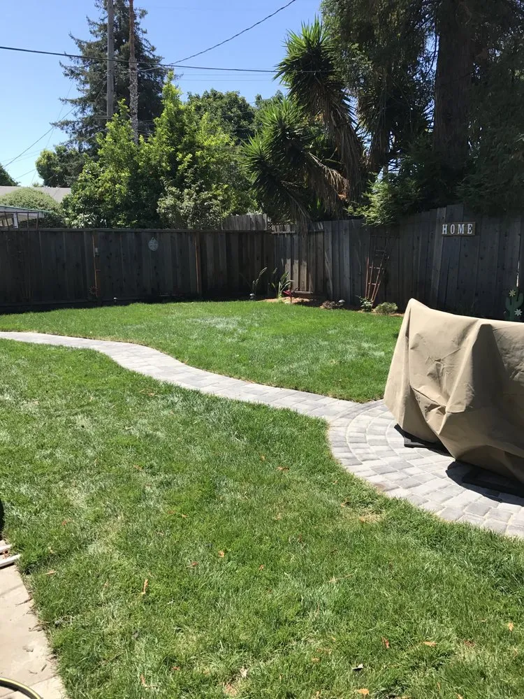 Expert landscape design experts serving San Jose, CA - Ark's Rotarea Aeration Service