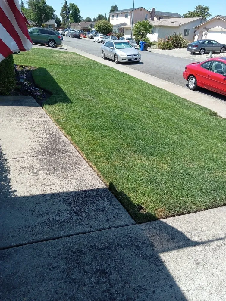 Professional garden landscaping experts serving San Jose, CA - Ark's Rotarea Aeration Service