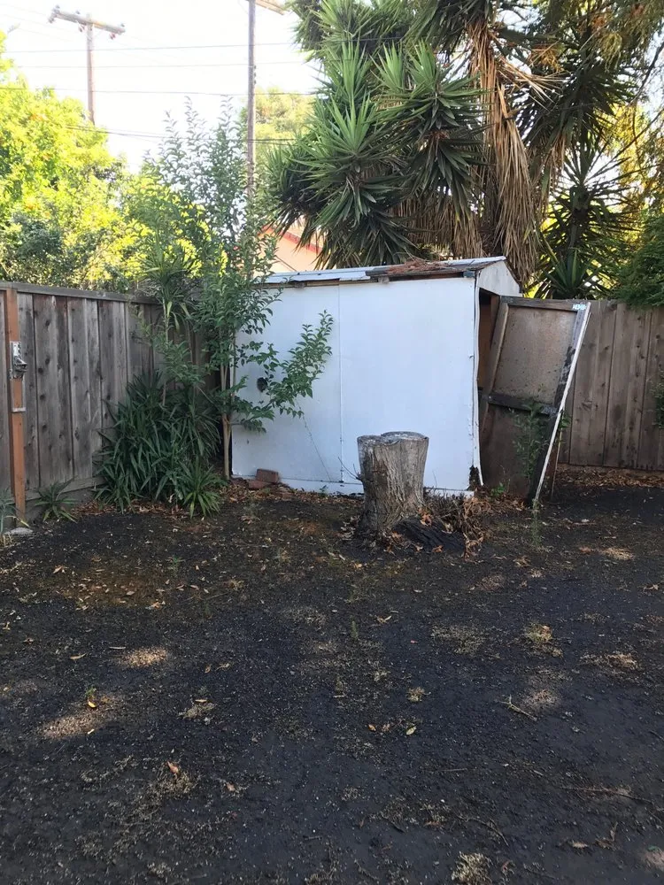 Local lawn mowing service in San Jose, CA by Ark's Rotarea Aeration Service