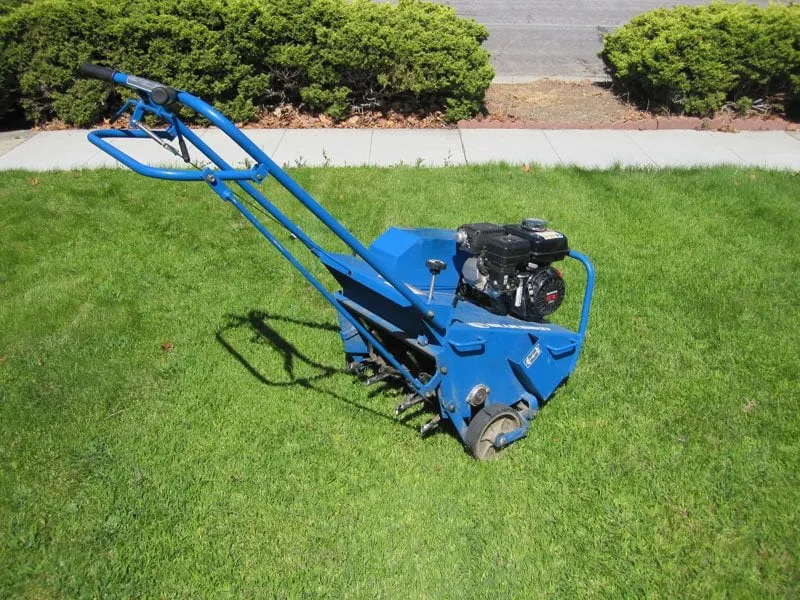 Professional yard cleanup service for outdoor upgrades in San Jose, CA by Ark's Rotarea Aeration Service