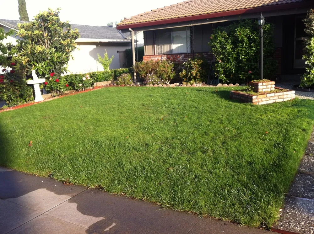 Expert garden landscaping in San Jose, CA by Ark's Rotarea Aeration Service