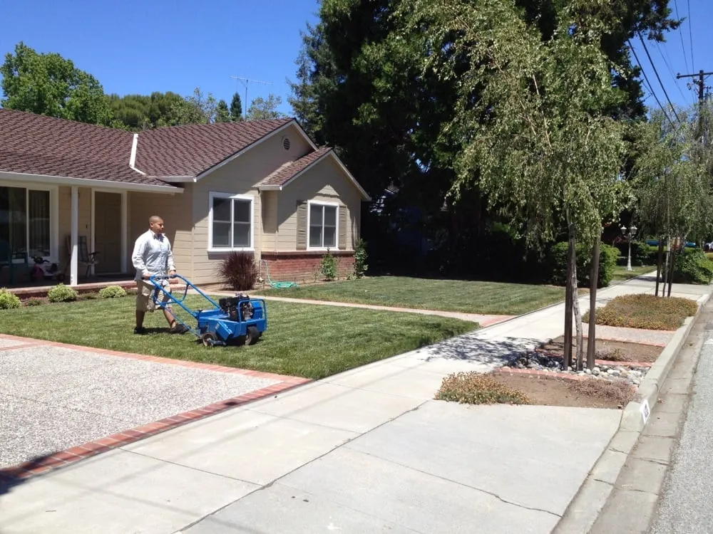Professional yard cleanup service for homes in San Jose, CA by Ark's Rotarea Aeration Service